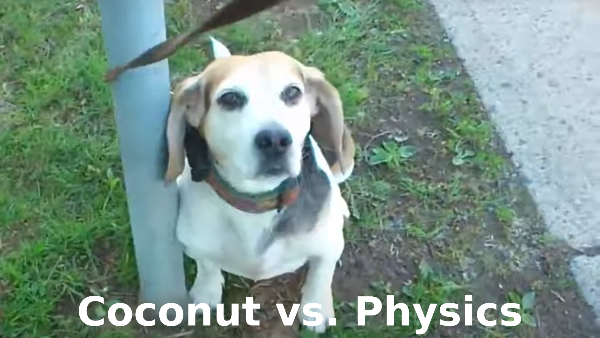 Coconut vs. Physics 2013